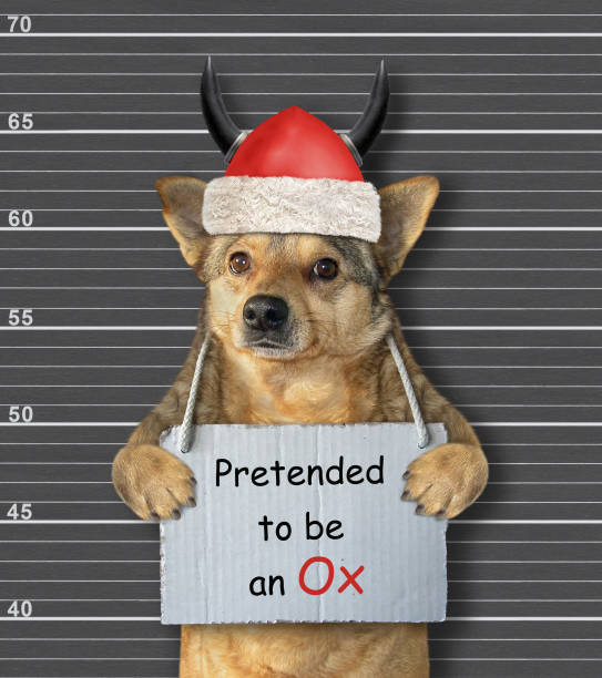 istock Dog arrested for pretended to be ox 2 1288267431