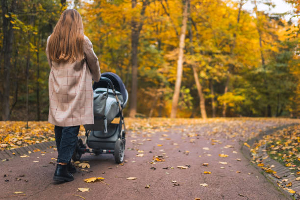 Mother with baby stroller walks in the autumn park, back view