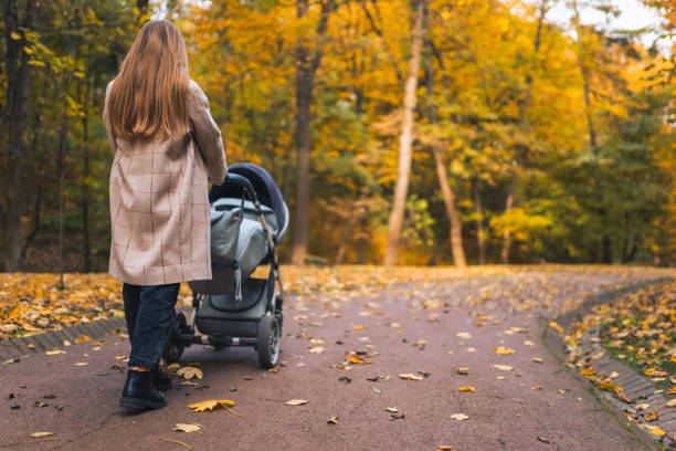 mother with baby stroller walks in the autumn park, back view - nature human pregnancy color image photography imagens e fotografias de stock