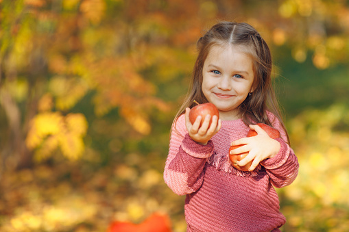 Cute little girl in autumn park hold red apples in hands.