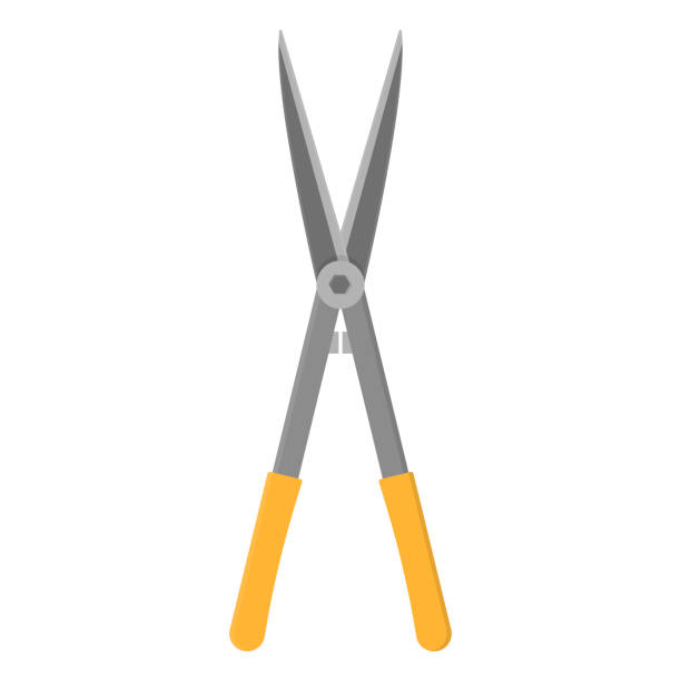 Gardening scissors isolated on white background. Gardening tool. Vector illustration in cartoon style for your design. Gardening scissors isolated on white background. Gardening tool. Vector illustration in cartoon style for your design. branch trimmers stock illustrations