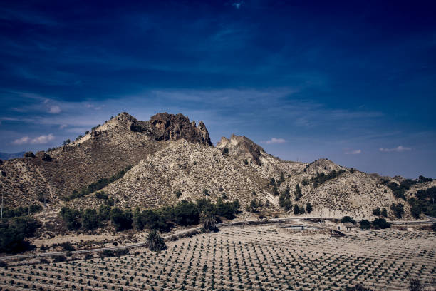 istock the aridity of the Murcian landscape 1288282610