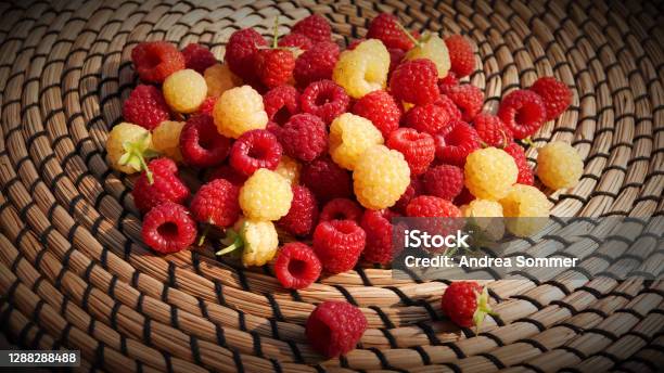 Himbeeren Red And Yellowwhite Mixed In A Pile On A Braided Light Brown Base Stock Photo - Download Image Now