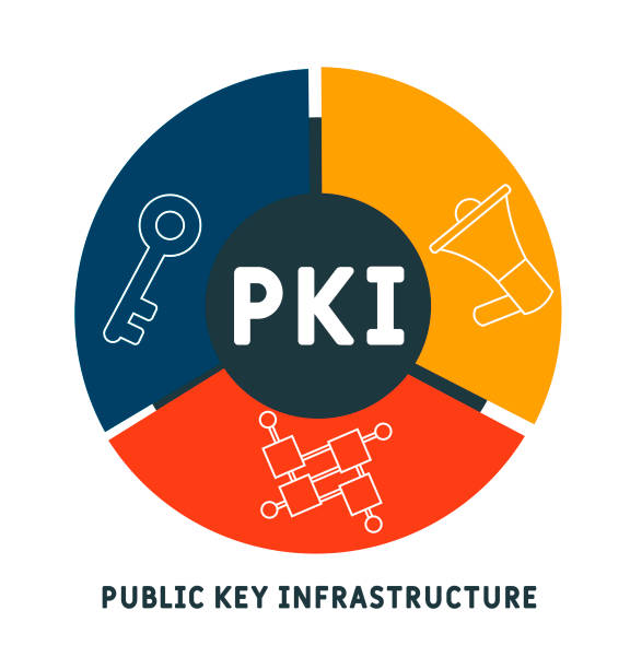Pki Acronimo Public Key Infrastructure Concetto Di Business - Immagini vettoriali stock e altre immagini di Acronimo - iStock
