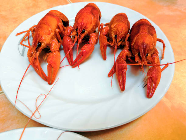 istock Beer, boiled crawfish with lemon and rosemary. Shallow dof. 1288291797