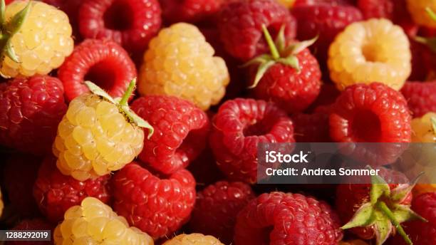 Himbeeren Fruit Background Red And Yellowwhite Stock Photo - Download Image Now - Agriculture, Antioxidant, Backgrounds