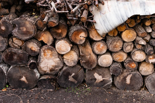 Prepared firewood for the grill and stove. Sawn down thick and thin tree trunks, wet and wet logs, stacked on rubble, a beautiful brown stock photo