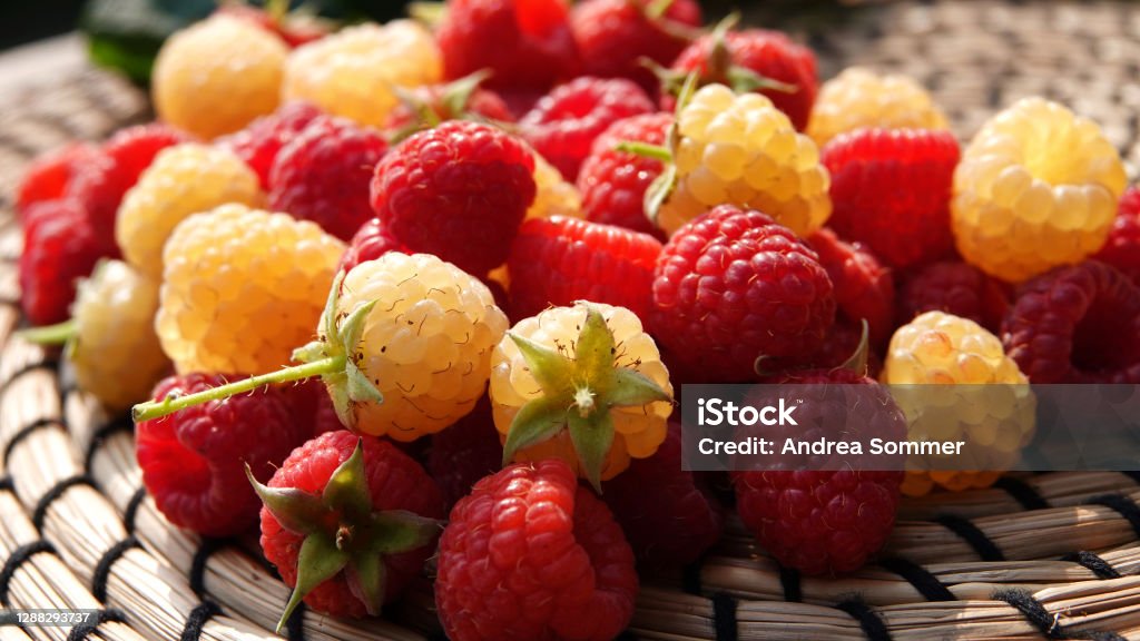 HIMBEEREN red and yellow/white mixed on a braided, light brown base RASPBERRIES red and yellow / white mixed on a braided light brown base Agriculture Stock Photo