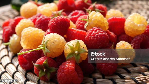 Himbeeren Red And Yellowwhite Mixed On A Braided Light Brown Base Stock Photo - Download Image Now