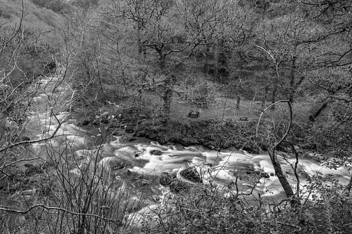 Long exposure of  the East Lyn river flowing through the woods at Watersmeet in Exmoor National Park