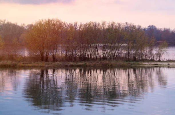 istock Island on the river in winter. Cold sunrise 1288296203