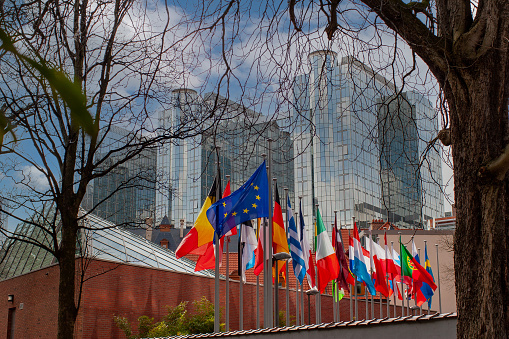 Members of Group of Seven taking photo against countries flags on international meeting in boardroom