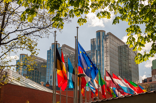 Flags in front of the Paul Henri Spaak building of the European Parliament in Brussels.\