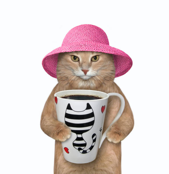 istock Cat in pink hat wants to drink coffee 1288297411