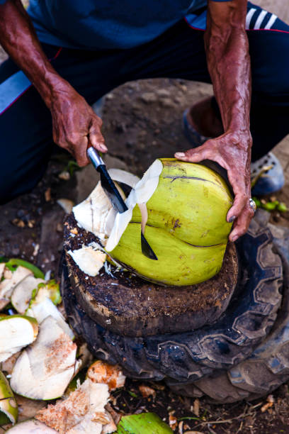 istock Man chopping coconut with big knife 1288297423