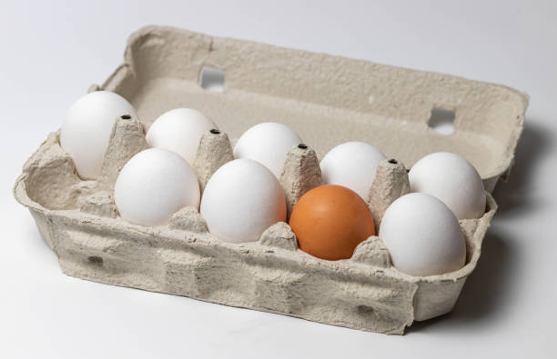istock Raw eggs in paper egg tray isolated on white background. 1288298773