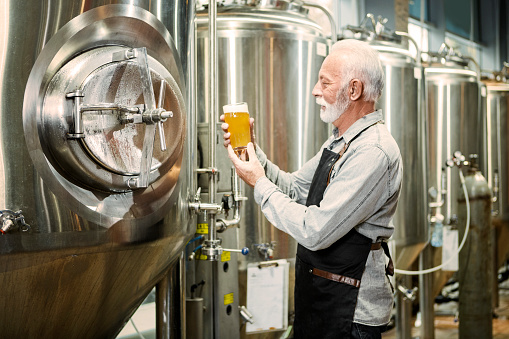 Mature man with a glass of beer at brewery plant