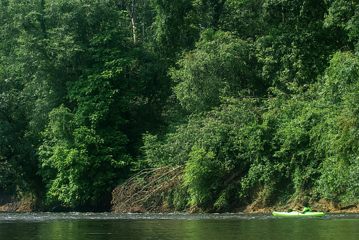 Green nature background surrounds a lone kayaker in an idyllic river scene.