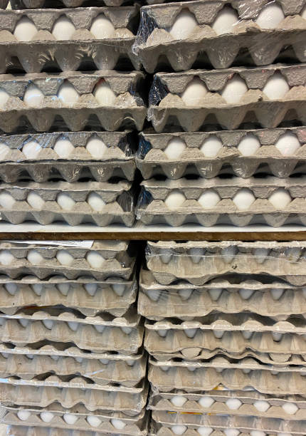 istock White eggs in boxes at farmer’s market 1288306060