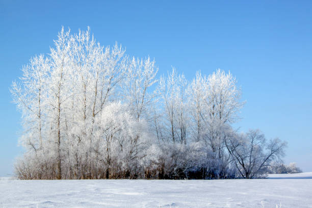 istock Frosty Winter day rural Minnesota, USA. 1288306135