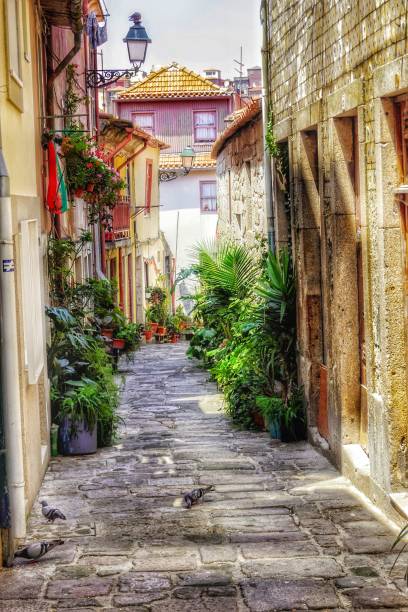 Small typical street in Porto