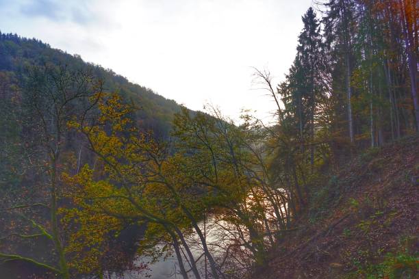 istock Belgium Ardennes Engreux during Autumn 2020 1288309686