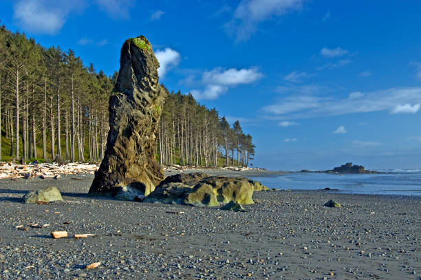 Ruby Beach Washington Rocks Ruby Beach Stock Photos, Pictures & Royalty-Free Images - iStock