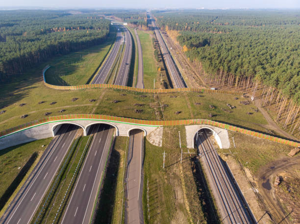 Passage for animals over the expressway