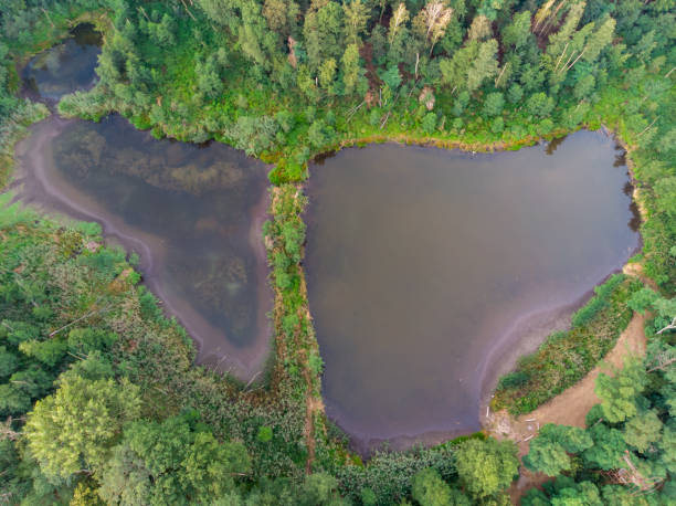 istock Ponds in the woods 1288315608