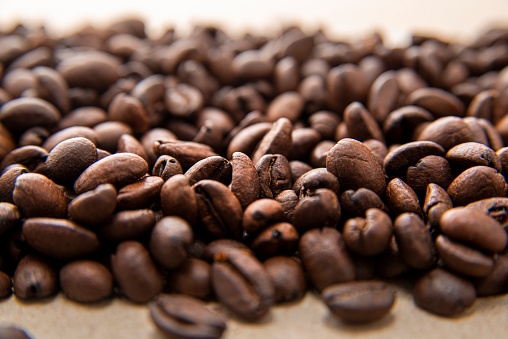 Dark fresh coffee beans, background field. Empty advertising space, studio detail shot high quality