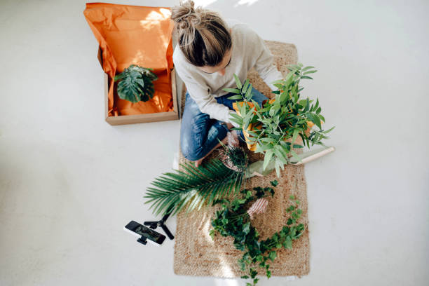 Houseplant haul unboxing