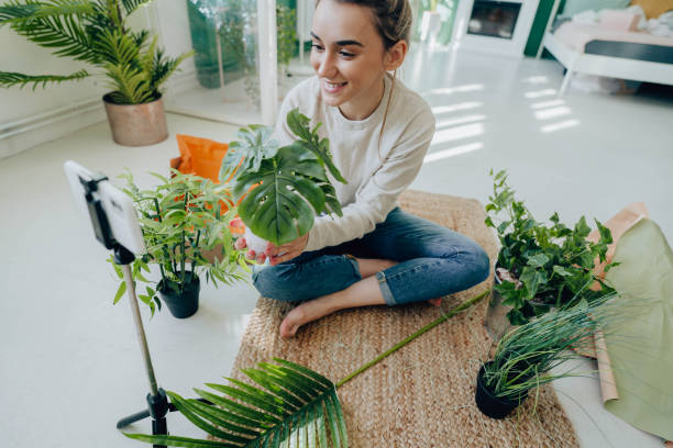 istock Houseplant haul unboxing 1288319066