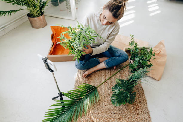 istock Houseplant haul unboxing 1288319088