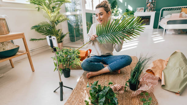 Houseplant haul unboxing