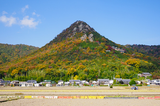 Conical Taroboyama with autumn leaves