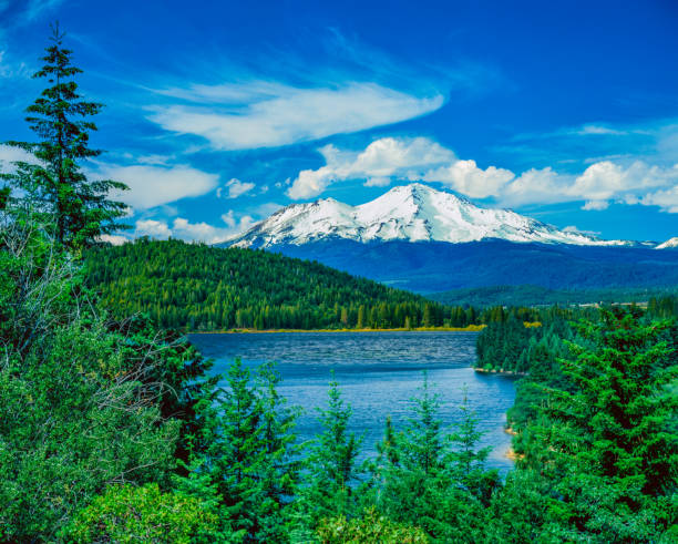 MOUNT SHASTA FROM SISKIYOU LAKE CASCADE RANGE SHASTA-TRINITY NATION  FOREST. CA SPRING MORNING  WITH MAJESTIC MOUNT SHASTA IN NORTHERN CALIFORNIA siskiyou lake stock pictures, royalty-free photos & images