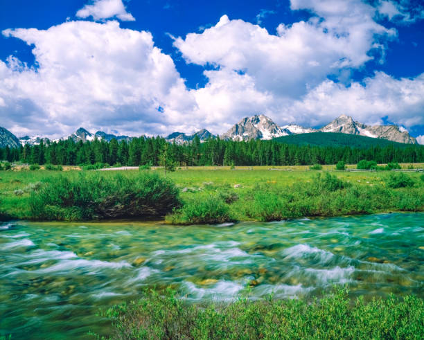THE VALLEY CREEK WINDS TROUGH A GRASSY MEADOW IN THE SAWTOOTH  MOUNTAINS, STANLEY IDAHO