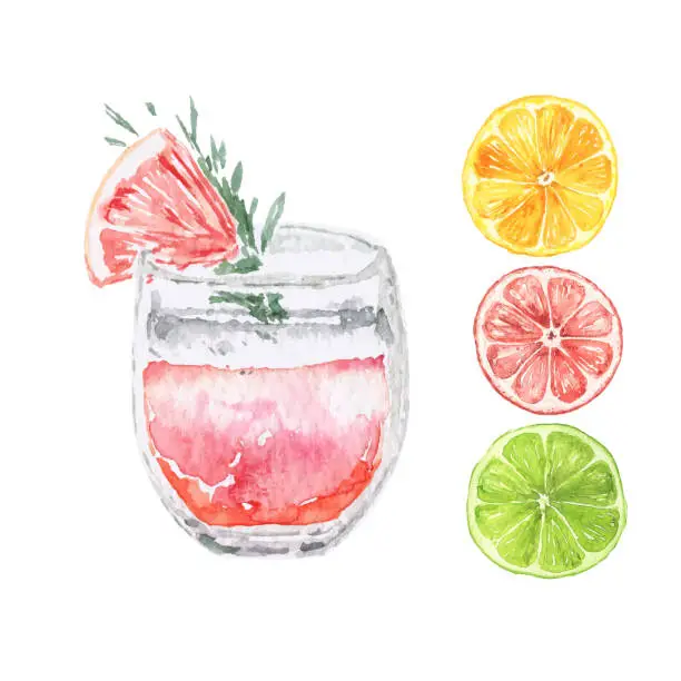 Vector illustration of Vector Watercolor Citrus Drink with slices