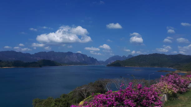 istock Khao Sok National Park, Thailand 1288323506