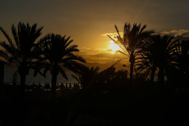 Early morning sights along the beach in Majorca Spain