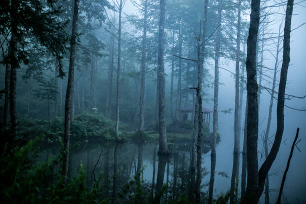 istock Artvin Borcka lake 1288326098