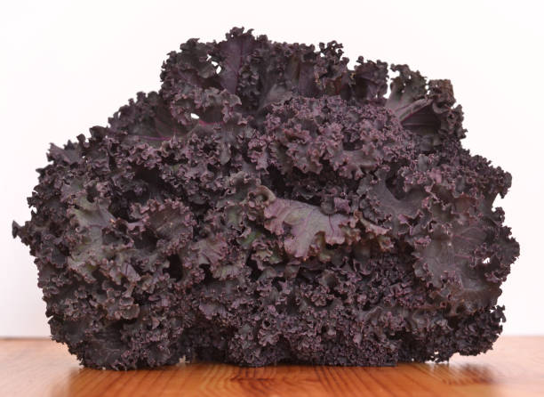 Bunch of fresh red kale on a wooden table stock photo