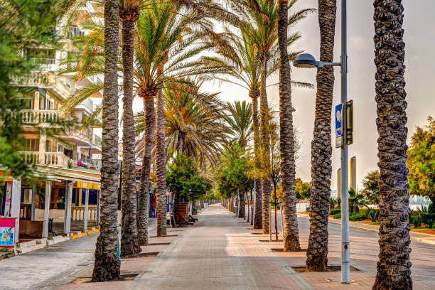 istock Early morning sights along the beach in Majorca Spain 1288327111