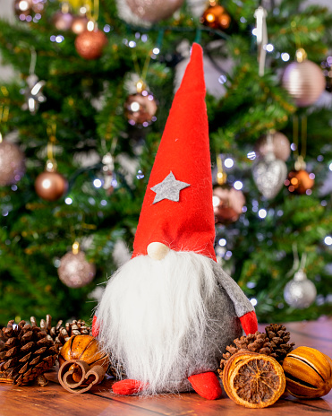 Christmas Scandinavian Gnome on wooden table, with pine cones, dry oranges, and Christmas tree behind as background.
