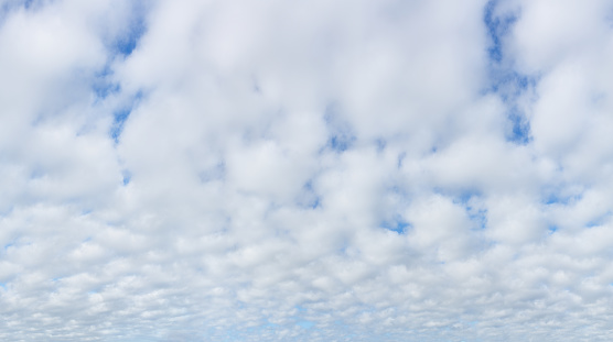 A high resolution, panoramic stratocumulus cloud texture that tiles seamlessly across horizontally. Great for loops. Overcast sky.