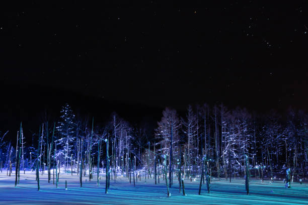 istock Illuminated snow-covered lake at night with Orion in Biei 1288332833