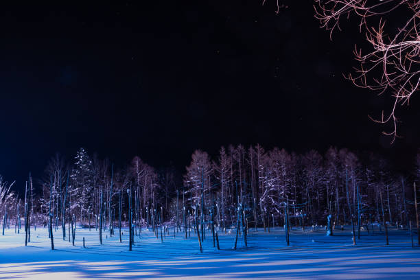 istock Illuminated snow-covered lake at night in Biei 1288332845