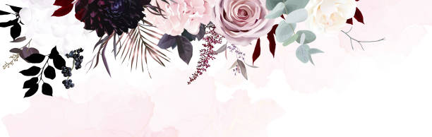 ilustrações de stock, clip art, desenhos animados e ícones de dusty pink, pastel, black flowers vector design watercolor banner frame - backgrounds pink luxury dark