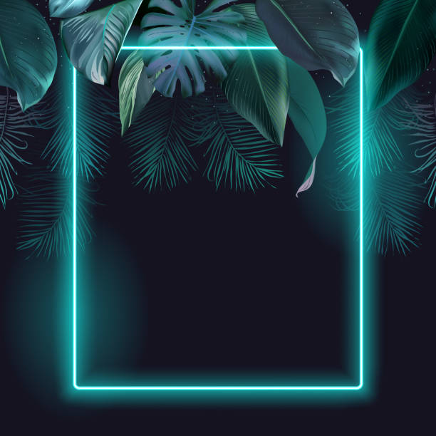 Tropical elegant frame arranged from exotic emerald leaves Design vector. Tropical elegant frame arranged from exotic emerald leaves Design vector. Paradise plant, greenery chic card. Stylish fashion banner. Neon light template. All leaves are not cut. Isolated and editable exoticism stock illustrations