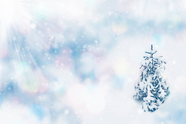 istock snow covered trees. Happy New Year and Merry Christmas 1288335399